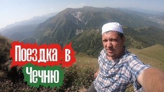 Татарин в горах Чечни встретил лесных. Как это было?