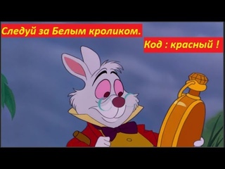 Следуй за Белым кроликом.  Код: красный.  № 1415