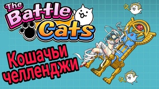 Battle cats - Кошачьи челленджи