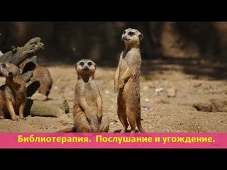 Библиотерапия. Послушание и угождение.