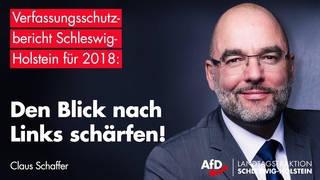 Claus Schaffer (AfD) zum Verfassungsschutzbericht 2018 des Landes Schleswig-Holstein