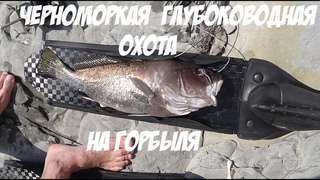 Черноморская глубокая охота на горбыля 2018