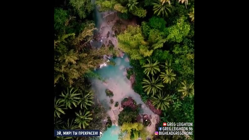 Видео от Alice