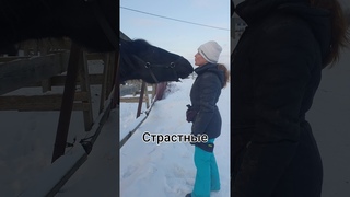 Поцелуи)