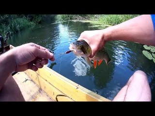 РЫБАЛКА НА МИКРОРЕЧКЕ!!!ГОЛАВЛЬ!!БЛЕСНА MAD FISH