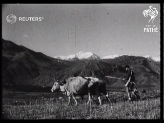 British troops return to Crete, Greece (1944)