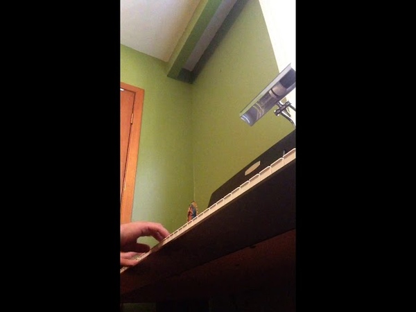 Lenen 1 Hooakas Theme: Air Master Soul Dualism Piano
