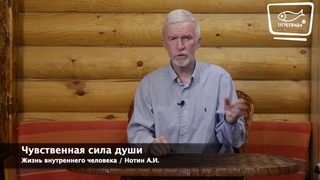 14  Жизнь внутреннего человека  Чувственная сила души