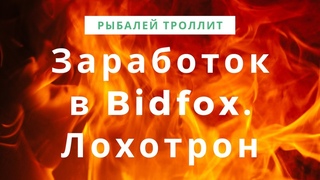 Рыбалей Троллит - Заработок в Bidfox. Лохотрон