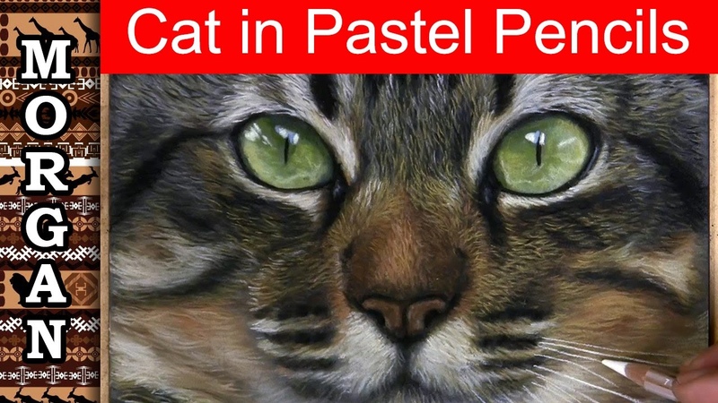 Pastel painting Cat fur tutorial drawing Jason