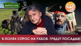В полях спрос на рабов. Грядут посадки. Сельский час #55 (Игорь Абакумов)
