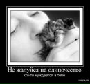 Фотография Вера Мелкова