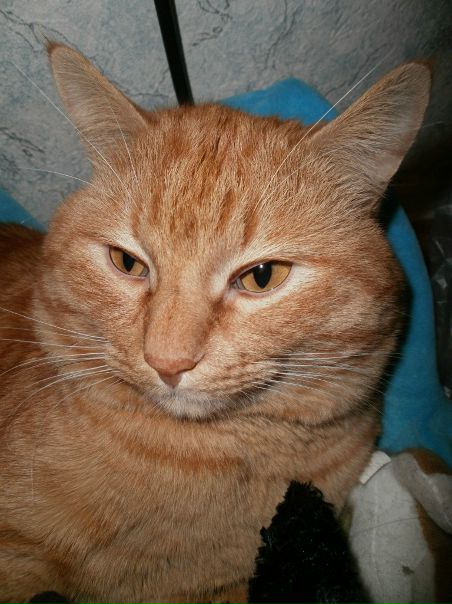 №126, Светлана Орлова, 121 год, Москва №126, Светлана Орлова, 121 год, Москва