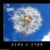Аватар: Андрей Солнце