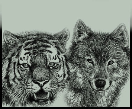 №127, Ульяна Бунина, 36 лет, Сочи №127, Ульяна Бунина, 36 лет, Сочи