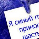№38, Алексей Шуватов, 39 лет, Днепр (Днепропетровск) №38, Алексей Шуватов, 39 лет, Днепр (Днепропетровск)
