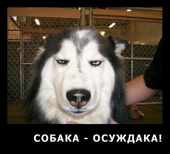 №8, Oll Streltsov, Одесса №8, Oll Streltsov, Одесса