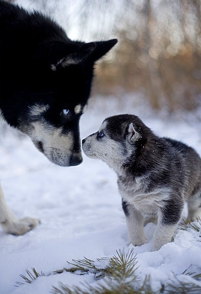 №3, Люба Тихоненко №3, Люба Тихоненко