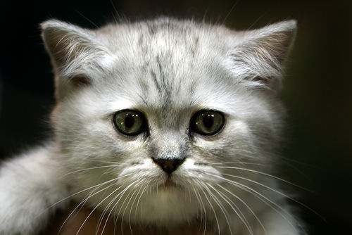 №116, Настя Юрчик, 22.06, Минск №116, Настя Юрчик, 22.06, Минск