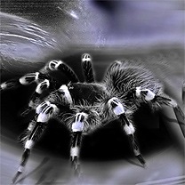 №2, Юра Беркут №2, Юра Беркут