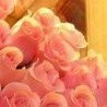 Фотография Дмитрий Бельский