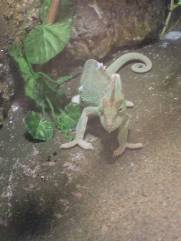 Ирина Соболева Алексеевна | Хабаровск