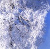 №39 Мария Игонина 16.02.1984: профиль, фото, статус - ВКонтакте №39 Мария Игонина 16.02.1984: профиль, фото, статус - ВКонтакте