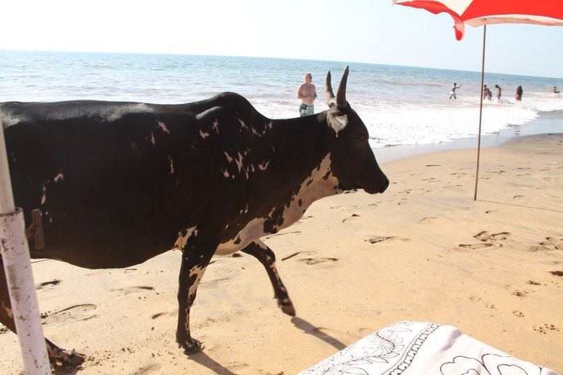 Полина Степанова | Москва