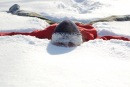 Фотография Алексей Морозов