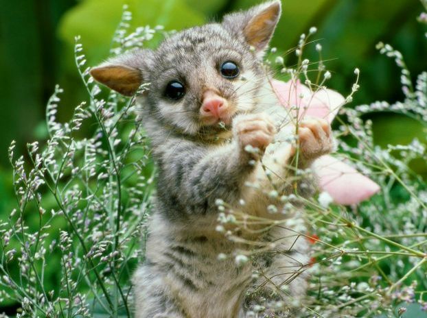 №85, Светлана Савельева, Нижний Новгород №85, Светлана Савельева, Нижний Новгород