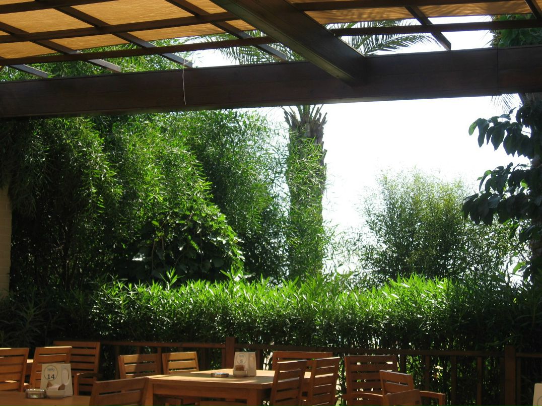 Георгий Лекарев | Санкт-Петербург