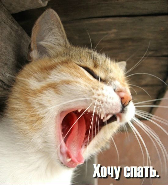 №22, Юлия Крошка, Москва №22, Юлия Крошка, Москва