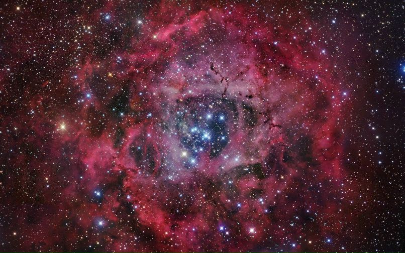 Лил Фокси Лисичка | Москва