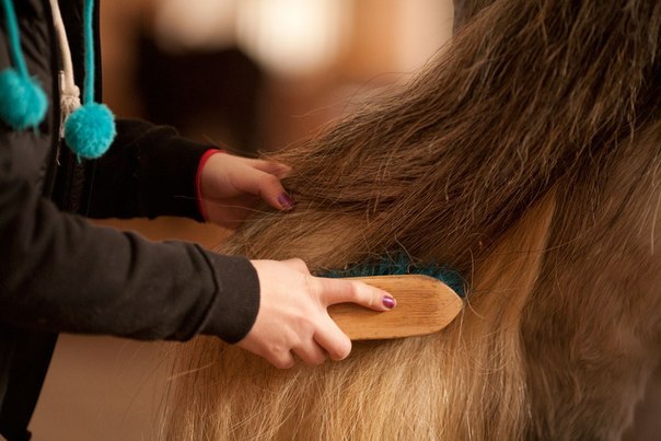 Тамара Габдуллина | Москва