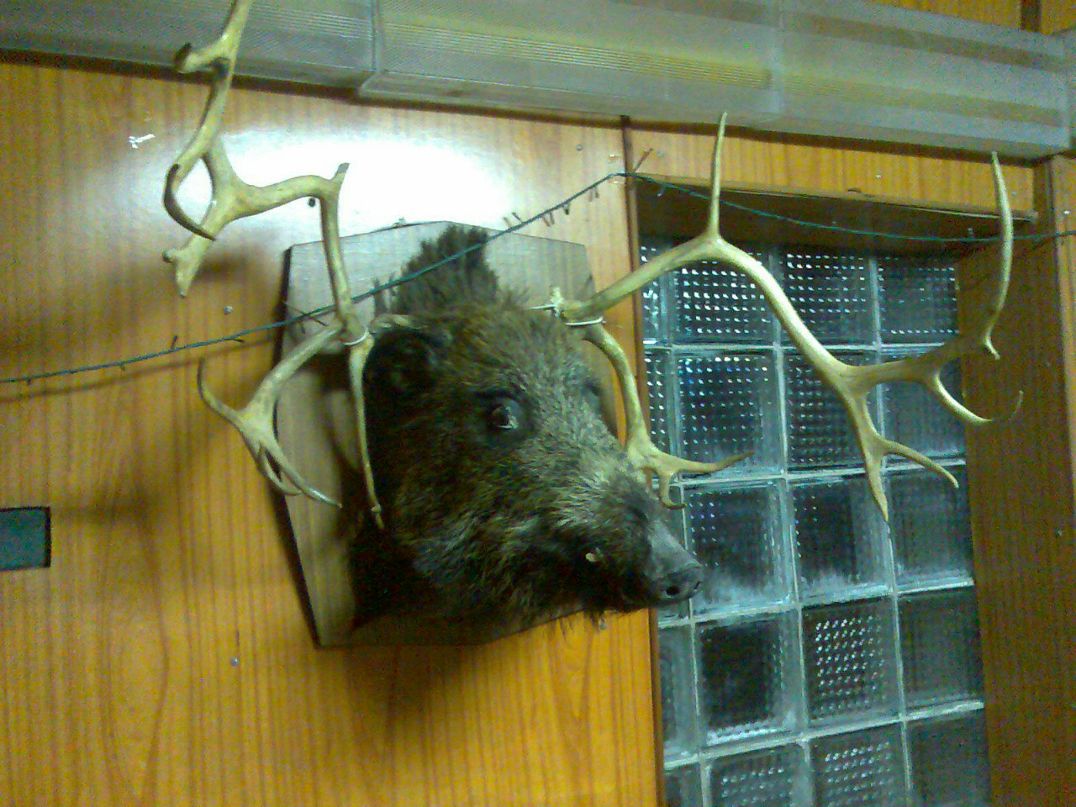 Сергей Толкачёв ٩(•̮̮̃•̃)۶ | Харьков