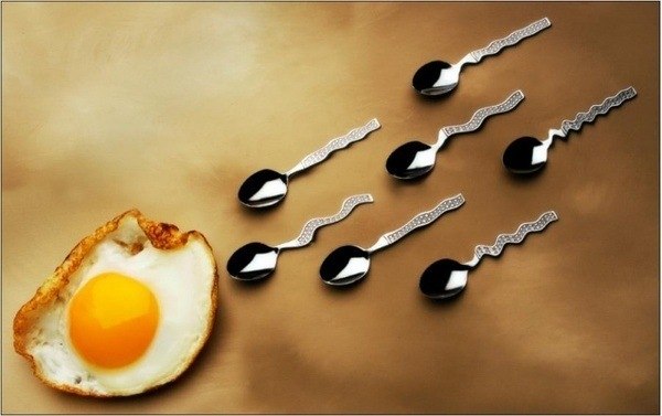 Александр Соколовский | 