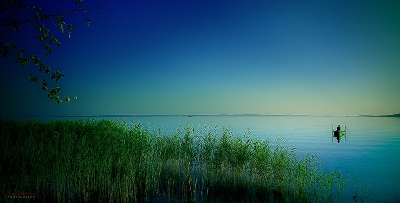 Милада Миролюбова | 