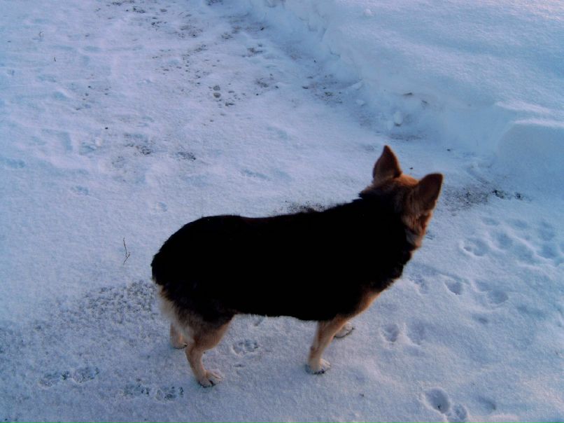 Olga Odintsova ViP-------=- | Красноярск