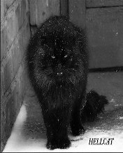 Анна Василькова | 