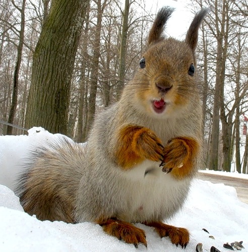 №29, Илья Кузнецов, Екатеринбург, Россия №29, Илья Кузнецов, Екатеринбург, Россия