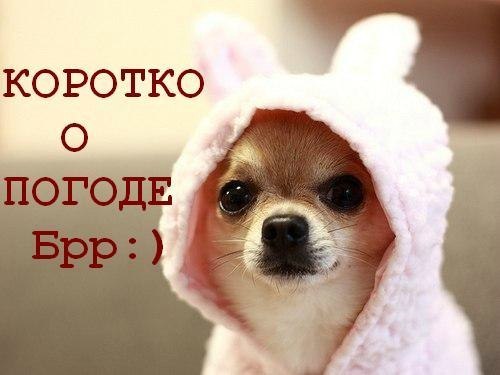 Наташа Каракчиева | Полтава