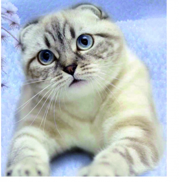 №66, Вова Цыбульский, 28 лет, Мариуполь №66, Вова Цыбульский, 28 лет, Мариуполь