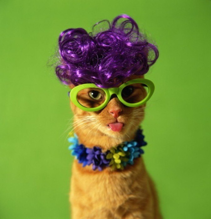 Елена Громова | 