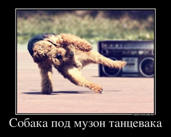 Андрей Лефутуренко | Киев