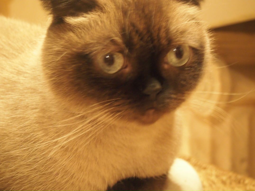 Саша Кулешова | Санкт-Петербург