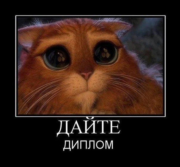 Диана Токсарова | Казань