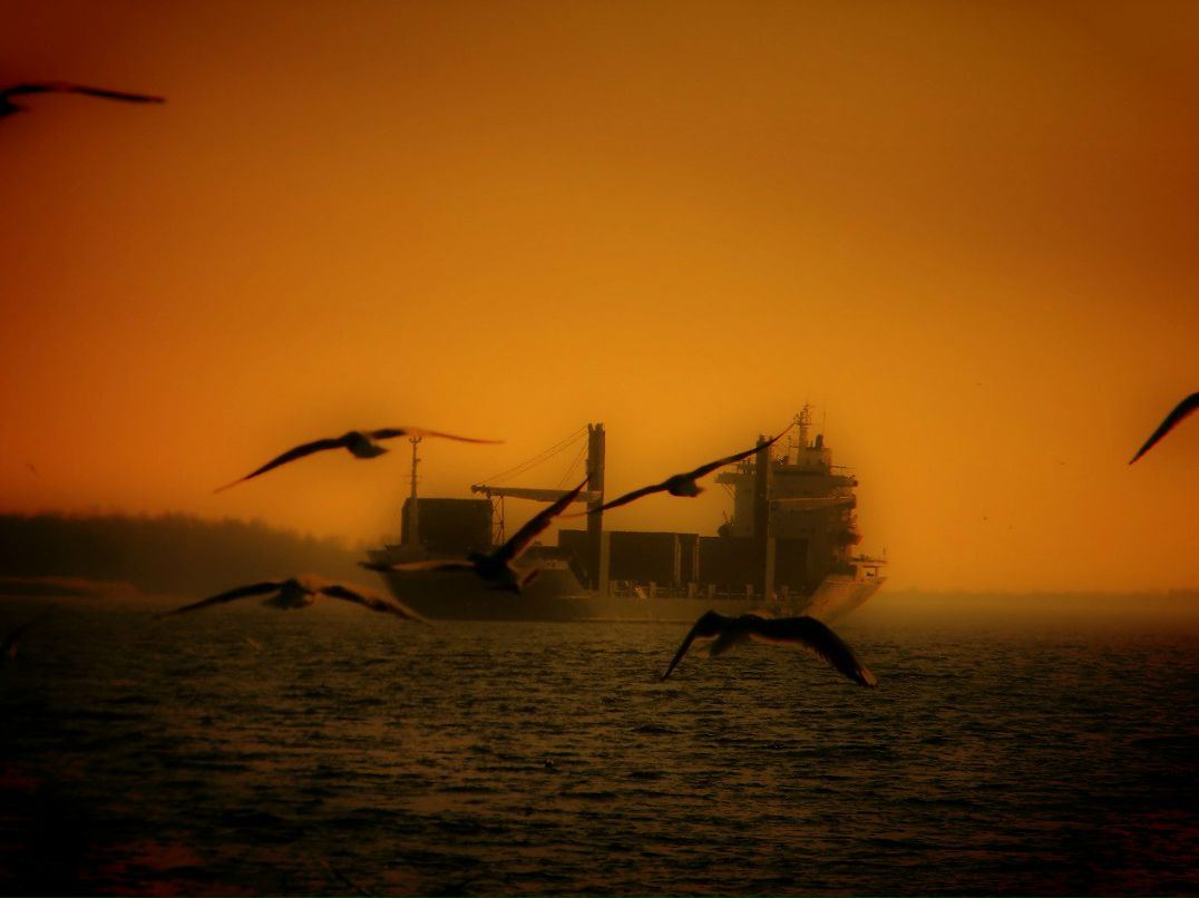 Вячеслав Торубара | 