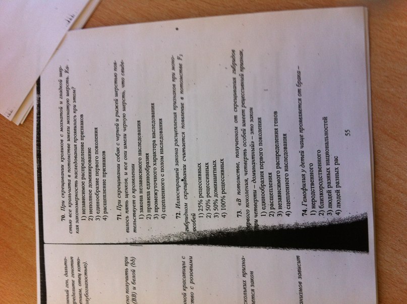 Георгий Пазухин | Санкт-Петербург