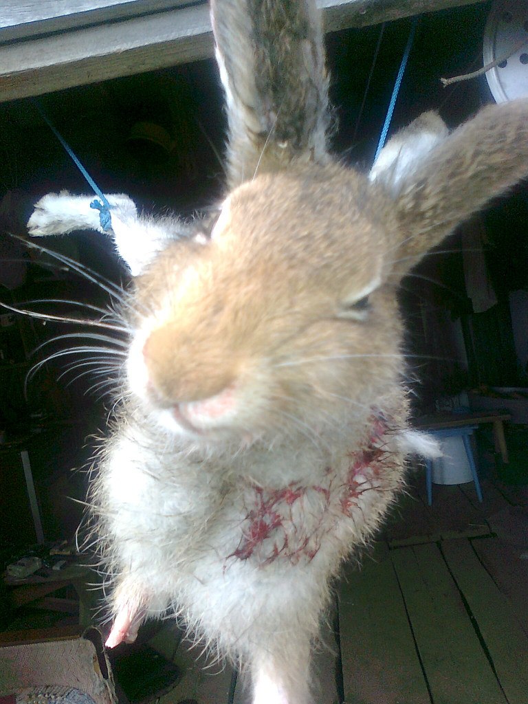 Николай Харин | Петрозаводск