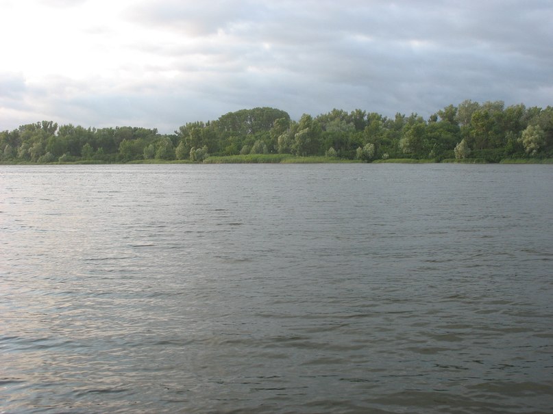 Елена Ноженко | Павлоград